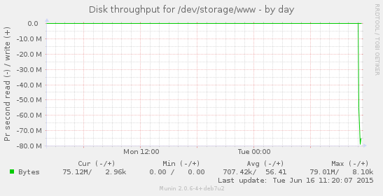 Disk throughput for /dev/storage/www