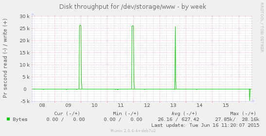 Disk throughput for /dev/storage/www