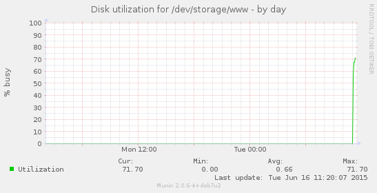 Disk utilization for /dev/storage/www